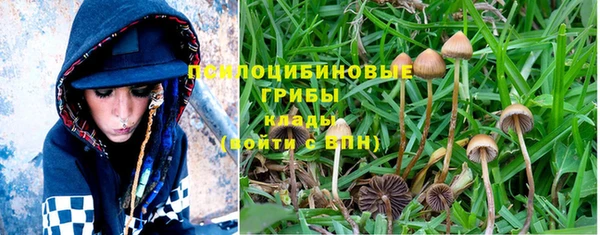 марки nbome Бородино