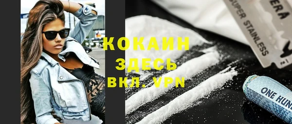 гидра Бронницы