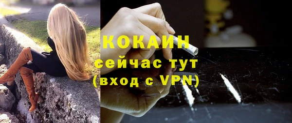 гидра Бронницы