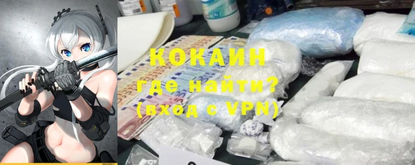 гидра Бронницы