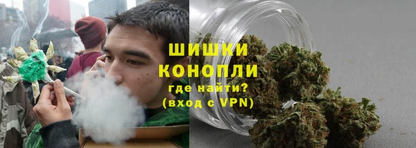 гидра Бронницы