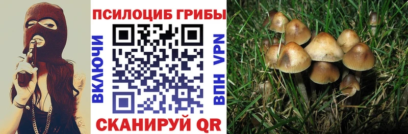где найти наркотики  Томари  Псилоцибиновые грибы ЛСД 