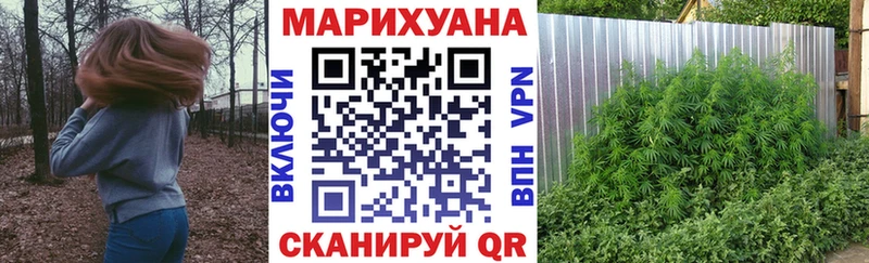 Канабис индика  купить  цена  Томари 